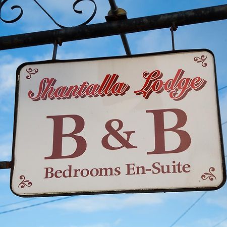 Shantalla Lodge Bed And Breakfastサントリー エクステリア 写真